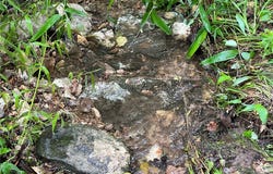 N Center Loop lot: 0, Harrison, AR 72601
