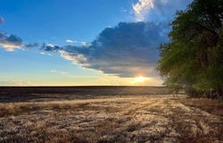 22749 Hwy 491, Yellow Jacket, CO 81335