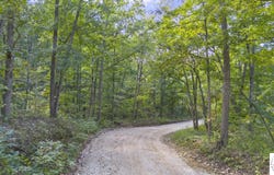 80 +/- Acres Proctor Lane, Gravois Mills, MO 65037