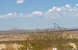 none, 29 Palms, CA 92277