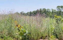 Co Rd 3440, Mountain View, MO 65548