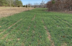 BRUCE Road, Whiteville, TN 38075