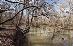HIGHWAY 545, Dubach, LA 71235