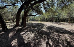 279 CR 2440, Iredell, TX 76649