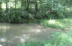 Spider Road, Berry, KY 41003