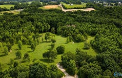 58 Acres Naples Lane, Arab, AL 35016