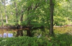 4 County Road T, Tripoli, WI 54564