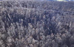 Klondike Rd. lot: 2, Confluence, PA 15424