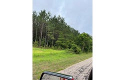 parcel 1 county road 6629, BANKS, AL 36005