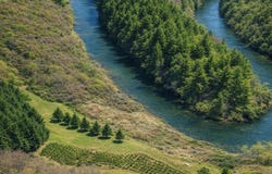 Trillium Trail, West Jefferson, NC 28694