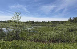 CR 44, Madrid, NY 13660