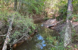 1500 Blackmon Rd, BRANTLEY, AL 36009