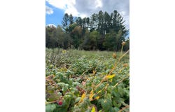843 River Road, Troy, VT 05859