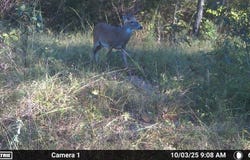 S80 Helt Rd, Antlers, OK 74525