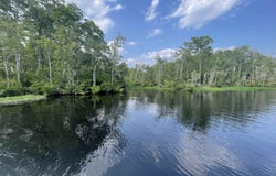 TBD7 Francis Marion Dr., Georgetown, SC 29440