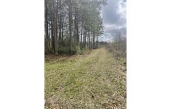 None Yet Forest Drive, Hemingway, SC 29554