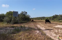 251 Old Goliad Road, Refugio, TX 78377