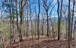 Briarwood Road, Webster, NC 28788