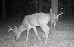 TBD Williams RD, Blanco, OK 74528