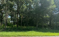 165th St, Trenton, FL 32693