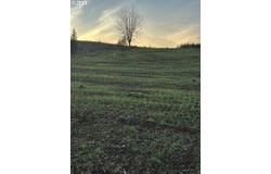 224 Suncrest Dr, CastleRock, WA 98611