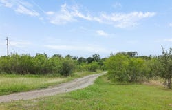 21814 Hogeye Rd, Manor, TX 78653