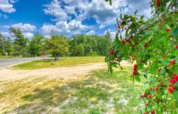 3973 E 3 Mile Road, Luther, MI 49656