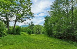163 Maple Ridge Road, Sandwich, NH 03259