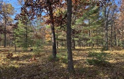 Parcel 11 County Line Road, Free Soil, MI 49411