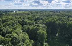 V/L Woods Road, Sidney, MI 48885