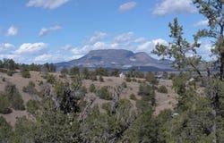 Ranch Road-Tee Pee Ranch lot: 88, Datil, NM 87821