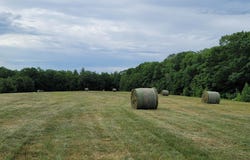 Bingham Road, Gilmanton, NH 03237