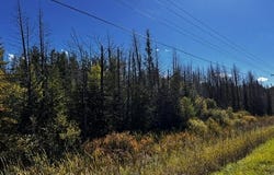 VL Afton Road, Wolverine, MI 49799