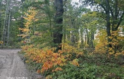 2640 E Lincoln Hills Road, Luther, MI 49656