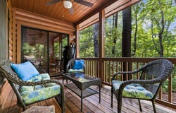43 Jason Martin Circle, Cherry Log, GA 30522