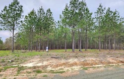980 County Road 1060, Center, TX 75935
