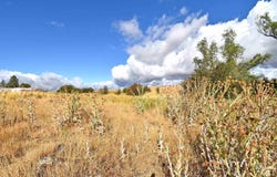 Boyd Lane, Anatone, WA 99401