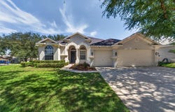 1314 ROWANTREE Drive, DOVER, FL 33527