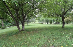 523 Ebberman Creek, Elkins, WV 26241