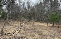 Creekview Road, Kunkletown, PA 18058