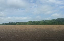 002 County Road 4205, Bonham, TX 75418