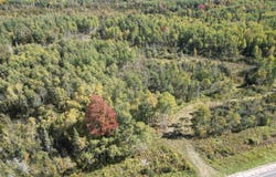 M35 Highway, Rock, MI 49880