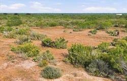 1991 S Highway 37, Three Rivers, TX 78071