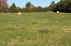 20232 CEDAR GRV Road, CULPEPER, VA 22701