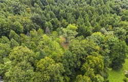 2206 W Ike Patton Drive, Ashland, KY 41102