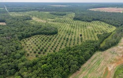 9953 Gravel Hill, Baconton, GA 31716