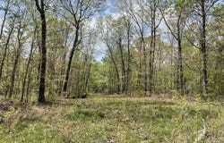 State Hwy N Tract C, Ava, MO 65608