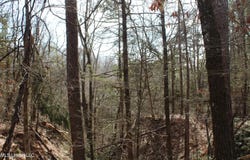 Laws Hill Road, Waterford, MS 38685