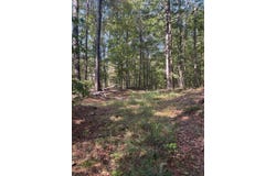 DIXIE SPRINGS Rd, Oakman, AL 35579