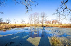 County Road 433, Oak Grove, AR 72660